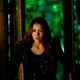 Illustration for article titled iThe Vampire Diaries/i’ Nina Dobrev will appear on iThe Originals/i as some new character